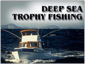 Imagen del juego Deep Sea Trophy Fishing para Ordenador