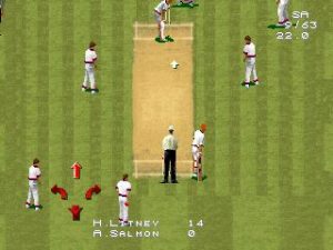 Imagen del juego Ian Botham's International Cricket 96 para Ordenador