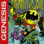 Imagen del juego Adventures Of Batman And Robin