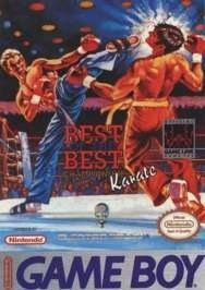 Imagen del juego Best Of The Best Championship Karate para Game Boy