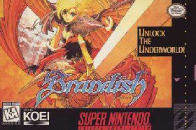 Imagen del juego Brandish para Super Nintendo