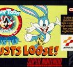 Imagen del juego Tiny Toon Adventures: Buster Busts Loose para Super Nintendo